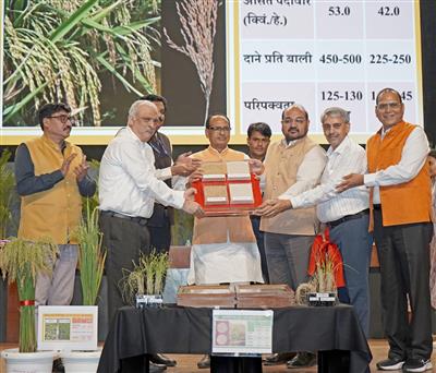 कृषि मंत्री चौहान ने पहली जीनोम-संवर्धित चावल किस्मों का किया लोकार्पण, 30 प्रतिशत तक बढ़ेगी उपज
