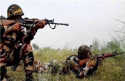 नियंत्रण रेखा पर गोलीबारी में 40 पाकिस्तानी सैनिक मारे गए: भारत