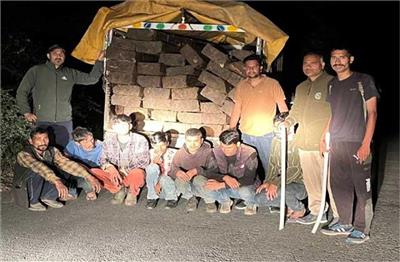 Kullu: देवदार के 37 स्लीपरों के साथ 7 लोग गिरफ्तार