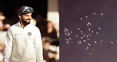 Virat Kohli : विराट कोहली को फैंस ने ही नहीं, नेचर ने भी दिया सम्मान