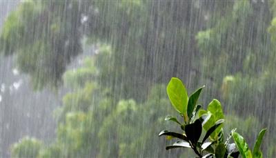 HP WEATHER : मौसम विभाग ने तीन तक जारी किया झमाझम का अलर्ट
