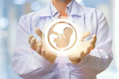ਗੈਰ-ਕਾਨੂੰਨੀ ਤੌਰ 'ਤੇ ਚਲਾਏ ਜਾ ਰਹੇ IVF ਸੈਂਟਰ ’ਚ ਮਿਲੇ 84 ਭਰੂਣ