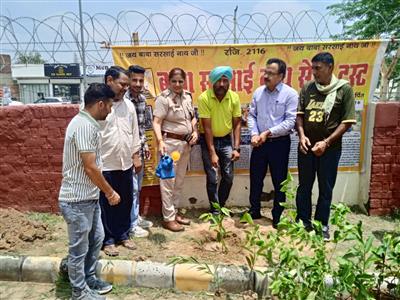 बाबा सरसाईनाथ सेवा ट्रस्ट का प्रयास सराहनीय: प्रो. विजय कुमार
