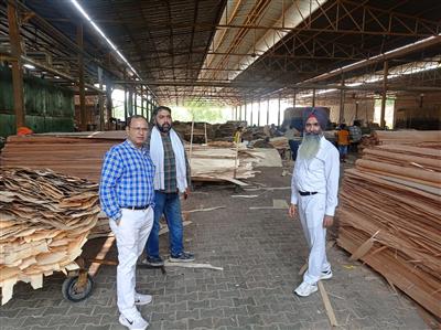 कृषि विभाग की टीम द्वारा प्लाइवुड फैक्ट्री पर की छापेमारी
