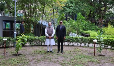 ‘एक पेड़ मां के नाम’ के तहत पीएम मोदी और राष्ट्रपति मुइज्जू ने मालदीव में लगाए पौधे