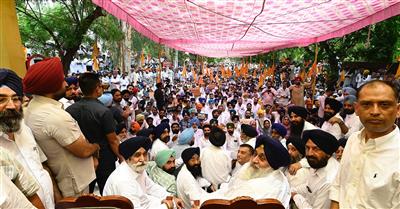 बठिंडा में लैंड पूलिंग नीति के विरोध में शिअद का धरना
