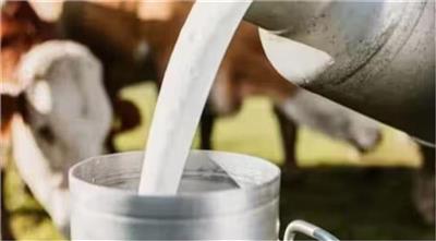 भारत का बढ़ेगा दूध उत्पादन: अगले कुछ वर्षों में सालाना 5% की वृद्धि का अनुमान