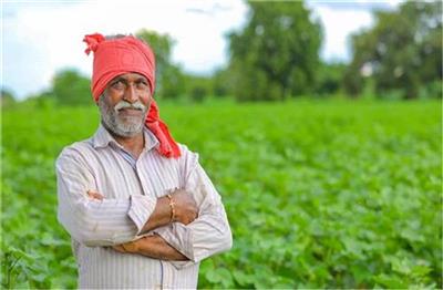 Haryana के किसानों के लिए जरूरी खबर, ई-क्षतिपूर्ति पोर्टल की तिथी बढ़ी.... अब इस तारीख कर खुला