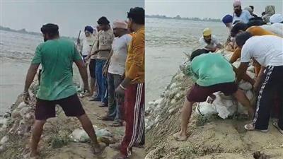 टूटने की कगार पर धुस्सी बांध! 25 गांवों पर मंडरा रहा खतरा... Alert जारी