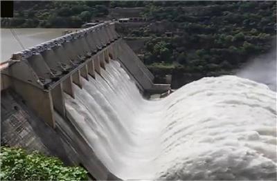 Bhakra Dam मचाएगा तबाही! High Alert पर पंजाब के ये शहर, पढ़ें पूरी  Report