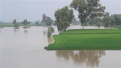 जालंधर में बढ़ा बाढ़ का खतरा, सतलुज पर बने अस्थाई बांध को लेकर आई बड़ी खबर