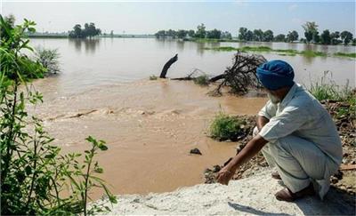 Punjab Floods: बाढ़ प्रभावित किसानों के लिए राहत भरी खबर, सरकार ने किया बड़ा ऐलान