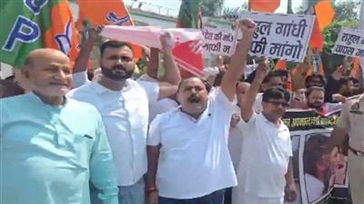 राहुल गांधी के रायबरेली दौरे पर BJP कार्यकर्ताओं का जबरदस्त हंगामा, 'राहुल वापस जाओ' के नारे लगाए