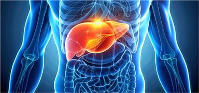 Signs of Liver Damage: शरीर में दिखने वाले ये छोटे-छोटे लक्षण लिवर खराब होने के संकेत... न करे नज़रअंदाज