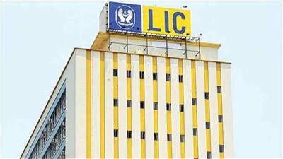 LIC Scheme: नो रिस्क, नो टेंशन! LIC ने अपने ग्राहकों के लिए लॉन्च की 2 स्पेशल Schemes