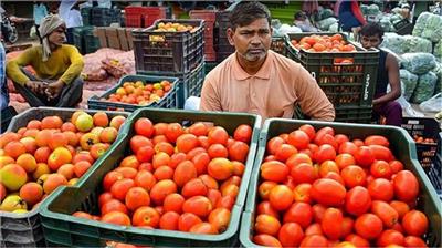 Tomato Price Hike: पाकिस्तान के पंजाब में टमाटर महंगा होकर लग्जरी आइटम बन गया, एक किलो की कीमत पहुंची 700 रुपए