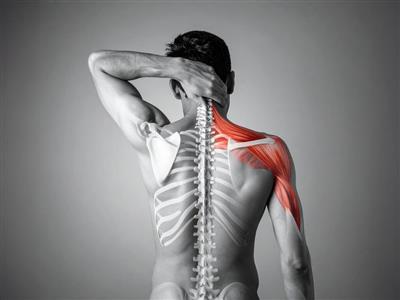 कंधा : शरीर का साइलेंट वॉरियर, जो आपके रोजमर्रा के काम को बनाते हैं आसान