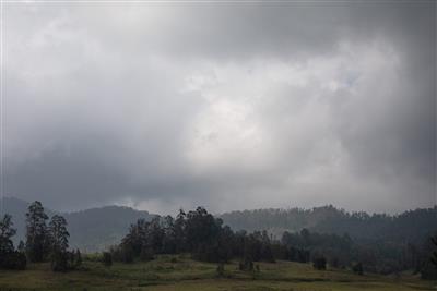 तमिलनाडु में हल्की-मध्यम बारिश की संभावना, दक्षिणी जिलों में भारी वर्षा का अलर्ट