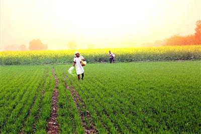 ग्रामीण भारत की आर्थिक स्थिति में उल्लेखनीय सुधार, उपभोग-आय दोनों में बढ़ोतरी: नाबार्ड सर्वे