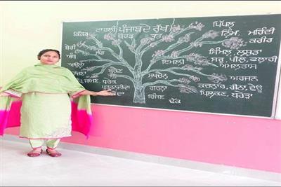 ਮਾਨ ਸਰਕਾਰ ਦੀ ਪ੍ਰੇਰਣਾ ਨਾਲ ਸੋਸ਼ਲ ਮੀਡੀਆ 'ਤੇ ਗੂੰਜੀ ਮਾਂ-ਬੋਲੀ