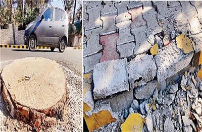 Himachal: 18 करोड़ रुपए की लागत से बने स्मार्ट रोड की टाइलें टूटी, फुटपाथ पर गिरे पेड़