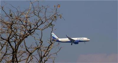 IndiGo Crisis : फ्लाइट संकट के बाद DGCA की सख्त नजर, इंडिगो CEO दो दिन लगातार तलब