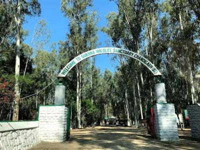 सुखना वाइल्डलाइफ सैंक्चुअरी में Entry पर पाबंदी, लोगों को दी जा रही ये सलाह