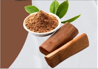 चंदन : खून की सेहत सुधारने वाली अनमोल लकड़ी, डायबिटीज के मरीजों के लिए फायदेमंद