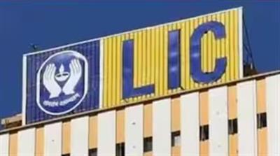 LIC ਦਾ ਨਿਵੇਸ਼ਕਾਂ ਨੂੰ ਵੱਡਾ ਤੋਹਫ਼ਾ; ਬੋਰਡ ਨੇ ਪਹਿਲੇ 'ਬੋਨਸ ਇਸ਼ੂ' ਨੂੰ ਦਿੱਤੀ ਮਨਜ਼ੂਰੀ