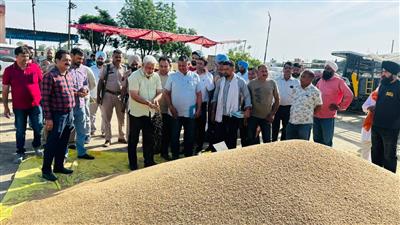 कैबिनेट मंत्री श्री लाल चंद कटारूचक्क ने सरना दाना मंडी (राजन की मंडी) में गेहूं की खरीद प्रक्रिया शुरू करवाई