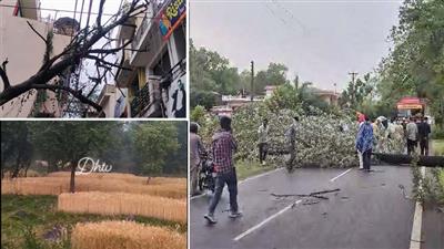 HP Weather: प्रदेश के कई जिलों में तेज हवाओं के साथ बारिश, जानें आगे कैसा रहेगा मौसम