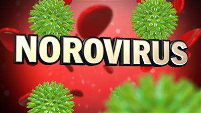 Hantavirus ਤੋਂ ਬਾਅਦ ਹੁਣ Norovirus ਦਾ ਕਹਿਰ! 80 ਲੋਕ ਹੋਏ ਬੀਮਾਰ