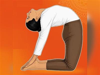 दिन भर छाई रहती है सुस्ती, छोटे-छोटे काम के बाद थक जाता है शरीर? उष्ट्रासन से दूर होगी समस्याएं