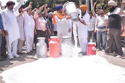 ਦੁੱਧ ਸਪਲਾਇਰ ਯੂਨੀਅਨ ਦਾ ਪ੍ਰਦਰਸ਼ਨ, DC ਦਫ਼ਤਰ ਬਾਹਰ ਕੁਇੰਟਲਾਂ ਦੇ ਹਿਸਾਬ ਨਾਲ ਰੋੜ੍ਹਿਆ ਦੁੱਧ