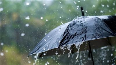 Punjab में बारिश और तेज हवाओं का येलो अलर्ट, IMD ने जारी की चेतावनी