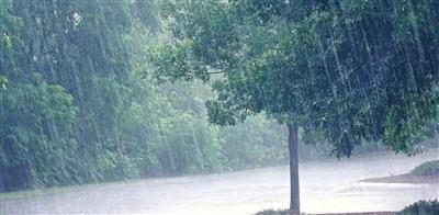 Weather Update: प्रदेश में भारी बारिश की चेतावनी, 49 सड़कें बंद और नदियां उफान पर