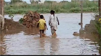 अंबाला में टांगरी नदी उफान पर: मैदानी इलाकों में बढ़ा बाढ़ का खतरा...कई घरों में घुसा पानी