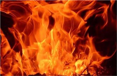 शिमला के नेरवा में भीषण अग्निकांड, 2 आशियाने जलकर राख; गरीब परिवारों पर टूटा दुखों का पहाड़