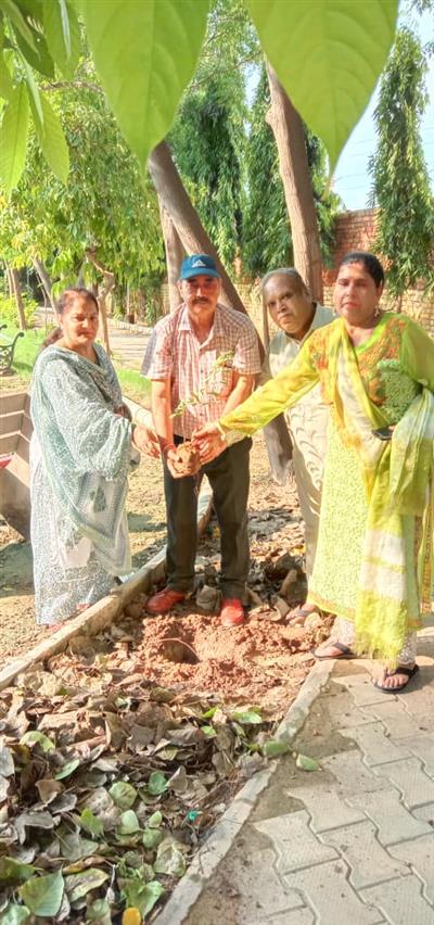 भारतीय एकता मंच मोहाली करेगा वृक्षारोपण अभियान, जरूरतमंदों की करेगा मदद