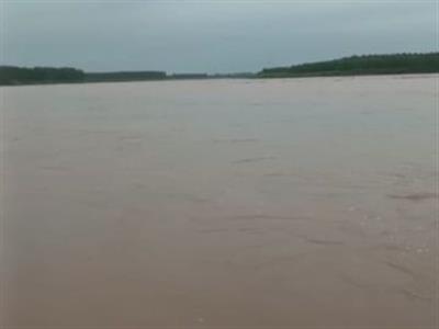 गुरदासपुर में बारिश बनी मुसीबत! रावी का जलस्तर बढ़ा, आधा दर्जन गांवों का टूटा संपर्क