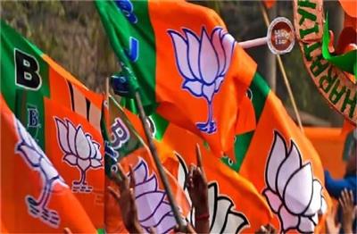 पंजाब भाजपा ने 6 जिलों में नए अध्यक्ष किए नियुक्त, जानें किसे मिली जिम्मेदारी