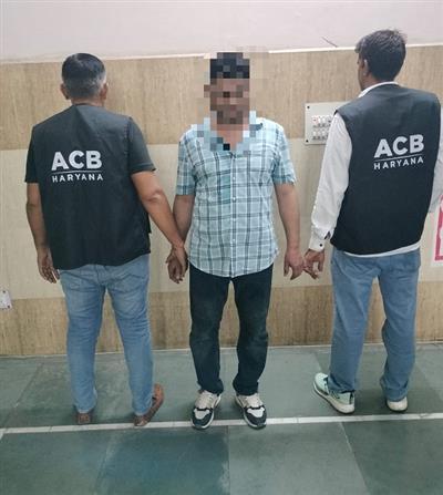 ड्रग लाइसेंस की फाइल आगे बढ़ाने के नाम पर 12 हजार रुपए रिश्वत लेते डाटा एंट्री ऑपरेटर रंगे हाथ गिरफ्तार