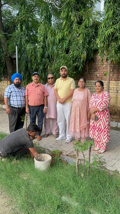 भारतीय एकता मंच मोहाली इकाई  द्वारा कैप्टन कमलजीत सिंह पार्क में पौधा रोपण किया गया 
