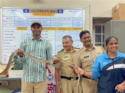 शाहरुख खान के 'मन्नत' में घुसा 8 फीट लंबा सांप, वन विभाग की टीम ने किया रेस्क्यू