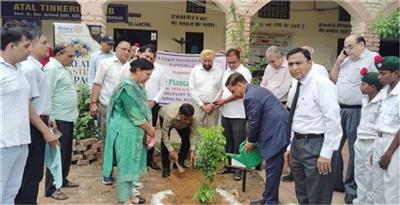 हरियाणा ने रचा इतिहास: 15 लाख पौधे लगाने का टारगेट पूरा, HALSA का मेगा अभियान सफल