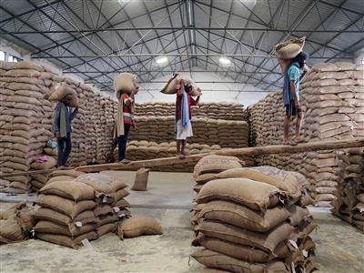 BIRC सर्वे: खाड़ी की अस्थिरता के बीच विदेशी चावल खरीदार अब सीधे भारत का कर रहे रुख 