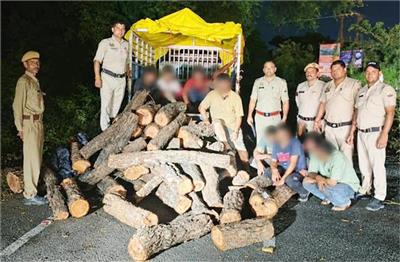Kangra: खैर तस्करी की बड़ी खेप पकड़ी, 84 मौछे बरामद, 2 वाहन जब्त