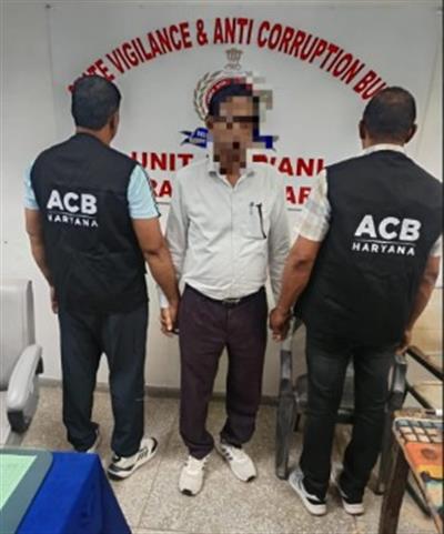 ₹10 हजार रिश्वत लेते हल्का फील्ड कानूनगो गिरफ्तार, एसीबी ने भिवानी तहसील में की कार्रवाई