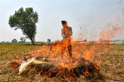 पंजाब में 49 पराली जलाने की घटनाएं दर्ज, 10 मामलों में लगाया गया 50 हजार रुपये जुर्माना