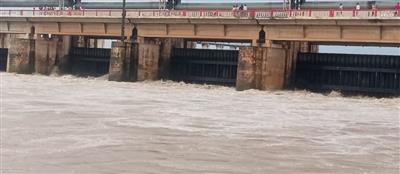 बिहार में गंडक का जलस्तर 91.25 मीटर के नए रिकॉर्ड पर; तटबंधों पर भारी दबाव, तीन स्थानों पर क्षति